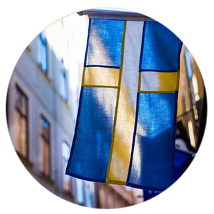 Avatar for vikingdiaries